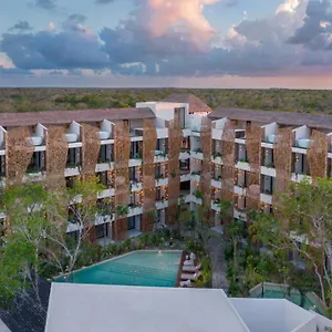 https://stunning-studio-with-rooftop-and-private-jacuzzi.allrivieramayahotels.com