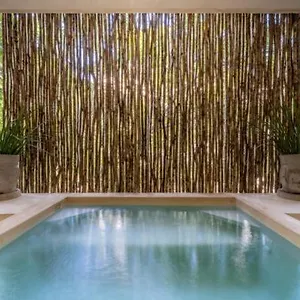 https://casa-cenote-private-pool-gated.allrivieramayahotels.com